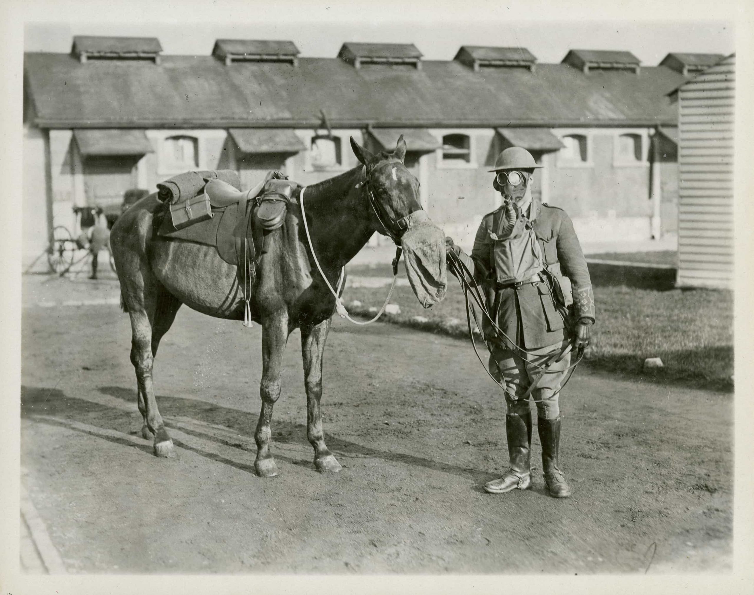 A man in uniform standing next to a horse at the Canadian War Museum in Ottawa.