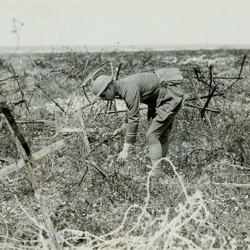 A soldier bending over to pick up an object in a field.