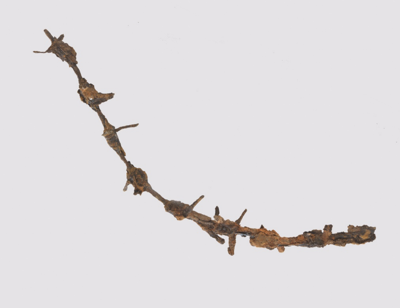 A piece of barbed wire on a white background.