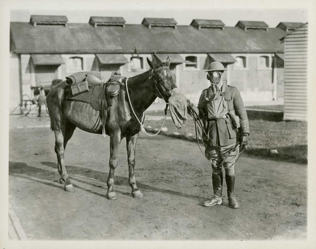 A soldier standing next to a horse at the Canadian War Museum in Ottawa.