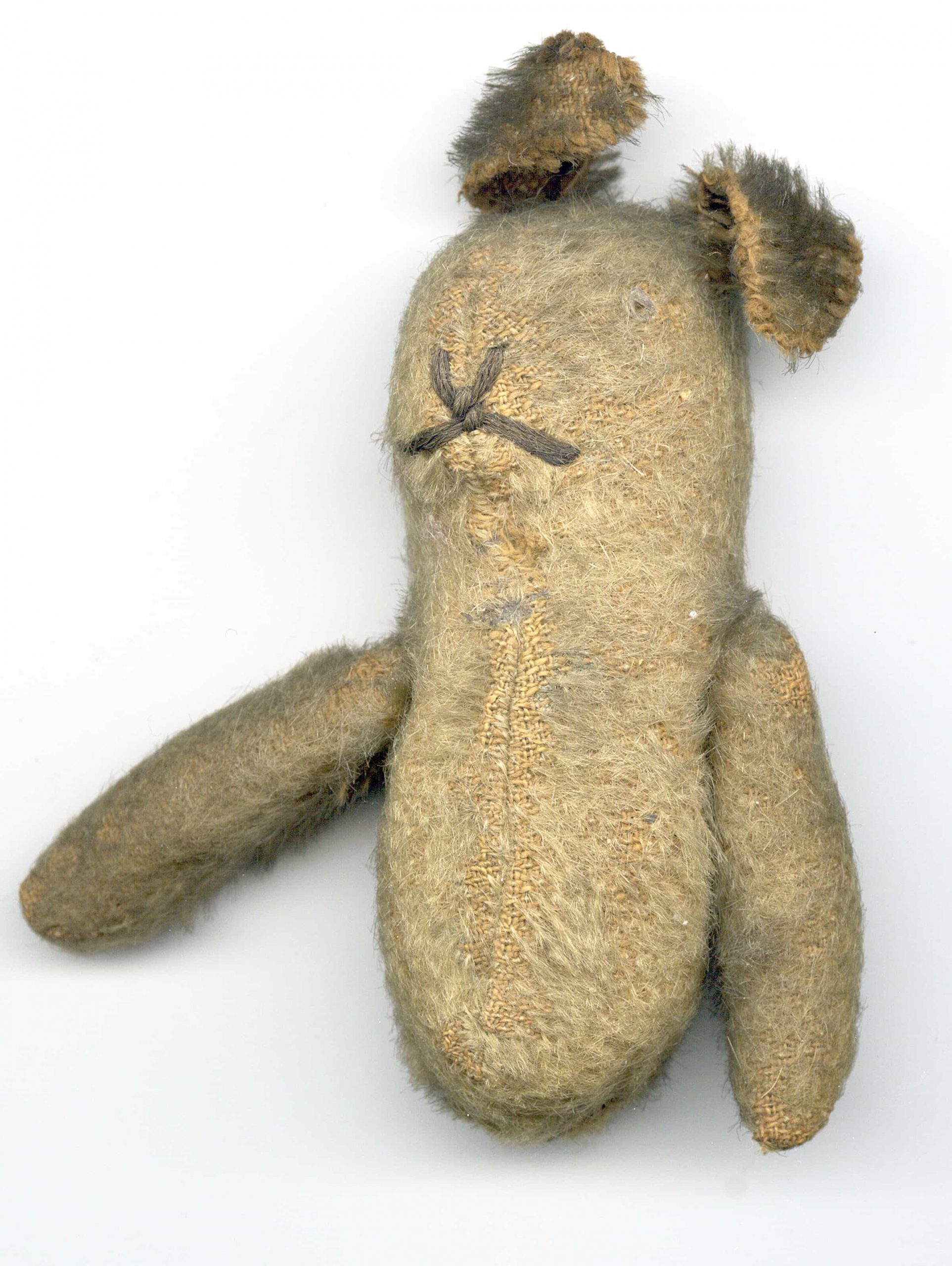 A brown teddy bear on a white background.